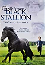 Adventures Of The Black Stallion: The Complete 1st Season - DVD