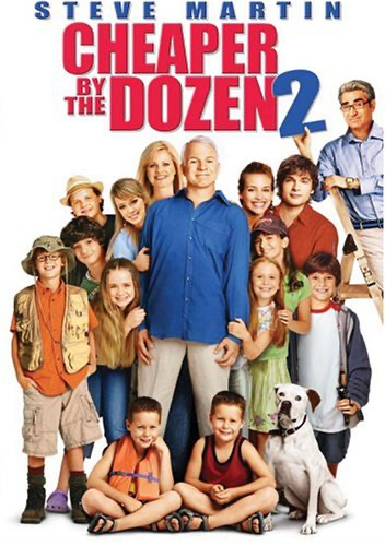 Cheaper By The Dozen 2 - DVD