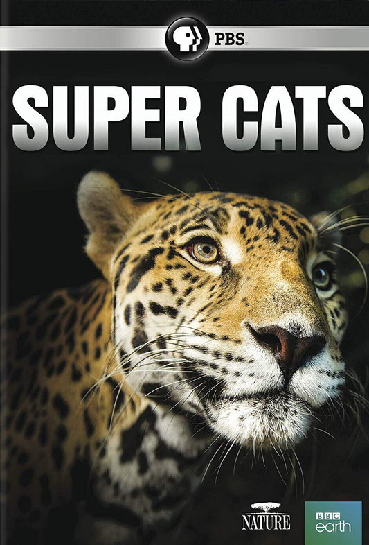 Nature: Super Cats - DVD