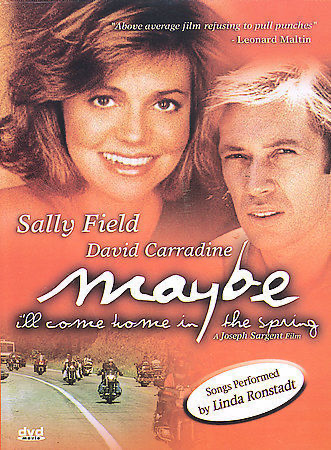 Maybe I'll Come Home In Spring - DVD
