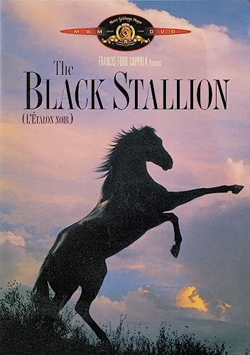 Black Stallion - DVD