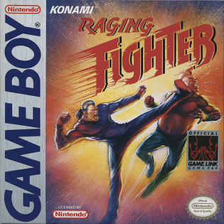 Raging Fighter - Game Boy