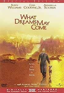 What Dreams May Come Special Edition - DVD